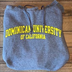 Champion Dominican University Grey Hoodie